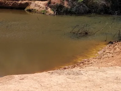 Lote/Terreno à venda, 20000m² no , Jequitibá
