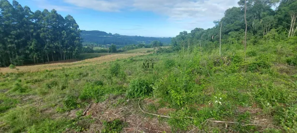 Lote/Terreno à venda, 40000m² no , Picada Café
