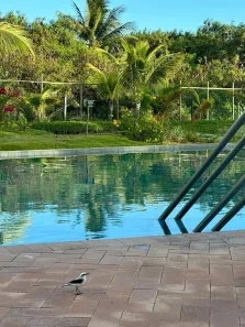 Apartamento com 2 Quartos à venda, 56m² no Praia do Forte, Mata de São João