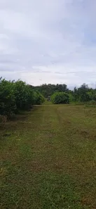 Fazenda/Sítio com 5 Quartos à venda, 4490000m² no Vila Lindóia, Itacoatiara