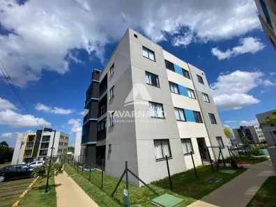 Apartamento com 3 Quartos para alugar, 54m² no Chapada, Ponta Grossa