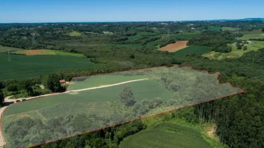 Lote/Terreno à venda, 20000m² no Santa Nely, Campo Largo