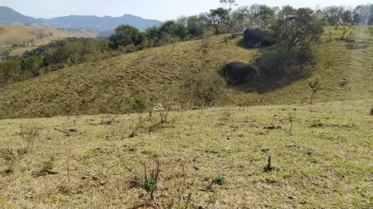 Lote/Terreno à venda, 20000m² no , Santo Antônio do Pinhal