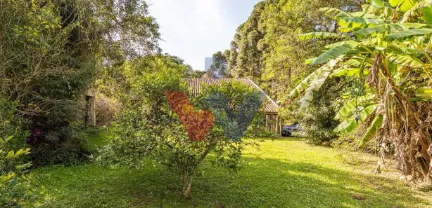 Fazenda/Sítio com 3 Quartos à venda, 100m² no Parque das Nascentes, Pinhais