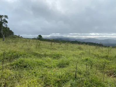 Fazenda/Sítio com 1 Quarto à venda, 1m² no Centro, Ribeirão Branco