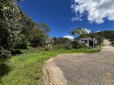 Lote/Terreno à venda, 980m² no Nova Petrópolis, Nova Petrópolis