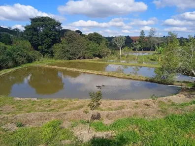 Fazenda/Sítio com 6 Quartos à venda, 200m² no , Boa Esperança