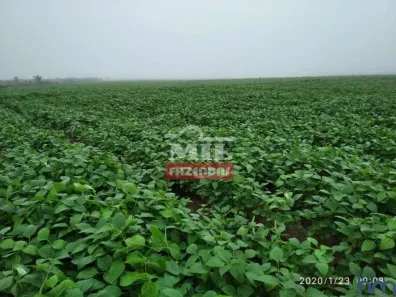 Fazenda/Sítio à venda, 500m² no , Doverlândia