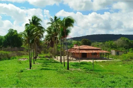 Fazenda/Sítio com 2 Quartos à venda, 367000m² no Mangalô, Alagoinhas