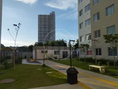 Apartamento com 2 Quartos para alugar, 33m² no Veleiros, São Paulo