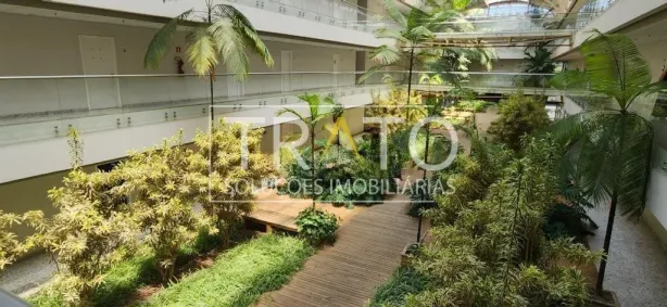 Sala Comercial com 2 Quartos para alugar, 81m² no Swiss Park, Campinas