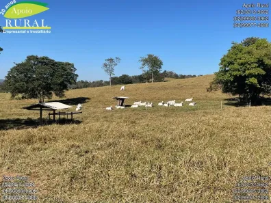 Fazenda/Sítio com 2 Quartos à venda, 721160m² no , São Miguel do Passa Quatro