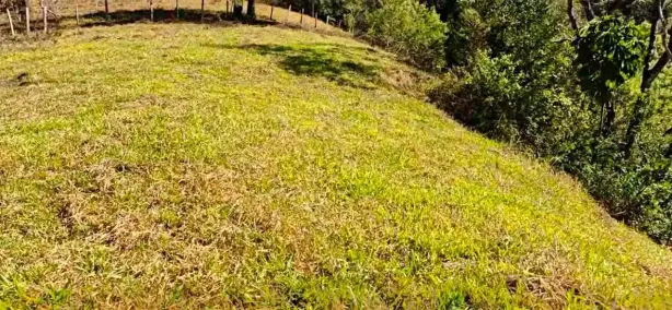 Fazenda/Sítio à venda, 5000m² no , Delfim Moreira
