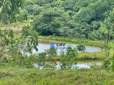Fazenda/Sítio à venda, 62920m² no , Tamarana