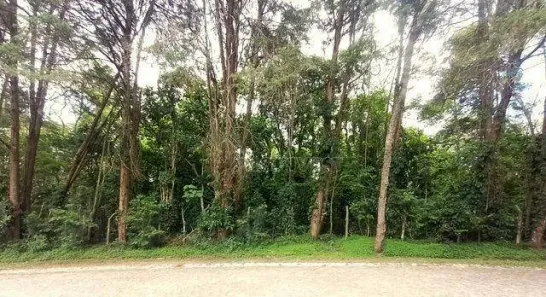 Lote/Terreno à venda, 1688m² no Paisagem Renoir, Cotia