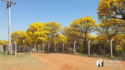 Fazenda/Sítio com 3 Quartos à venda, 336m² no Jacuba, Arealva