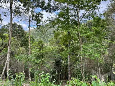 Lote/Terreno à venda, 3598m² no Nogueira, Petrópolis