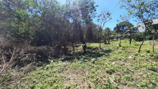 Lote/Terreno à venda, 546m² no Pântano do Sul, Florianópolis