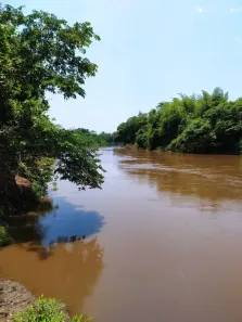 Fazenda/Sítio com 3 Quartos à venda, 700000m² no , Anastácio