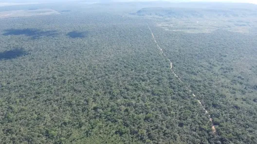 Fazenda/Sítio à venda, 1228000m² no , São Félix de Balsas