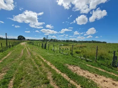 Fazenda/Sítio com 1 Quarto à venda, 2516000m² no Monte Belo (Iguabinha), Araruama