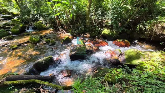 Fazenda/Sítio à venda, 2m² no Engenheiro Passos, Resende
