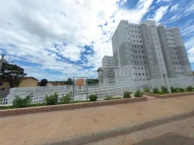 Apartamento com 2 Quartos à venda, 44m² no Recreio São Judas Tadeu, São Carlos