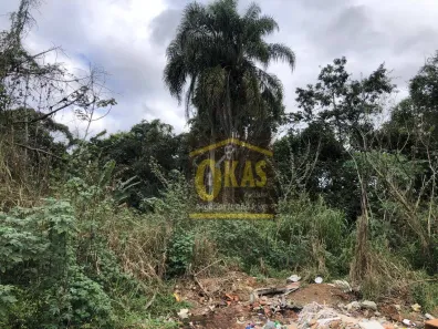 Lote/Terreno à venda, 36155m² no Vila São Pedro, Suzano