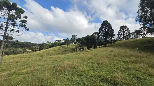 Lote/Terreno à venda, 40000m² no Laranjeiras, Campo Alegre