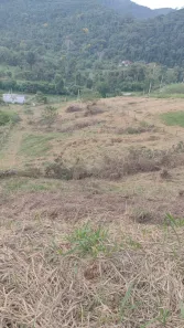 Lote/Terreno à venda, 2072m² no Pedro do Rio, Petrópolis