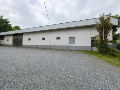 Galpão/Depósito/Armazém com 1 Quarto para alugar, 2000m² no Badenfurt, Blumenau