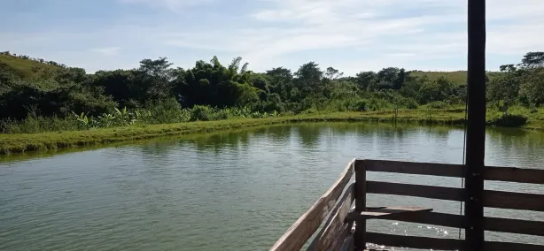 Fazenda/Sítio com 3 Quartos à venda, 3800000m² no Centro, Santo Antônio do Descoberto
