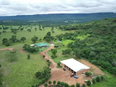 Fazenda/Sítio à venda, 1500m² no , Pedra Preta