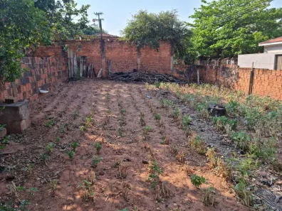 Lote/Terreno à venda, 480m² no Centro, Alfredo Marcondes