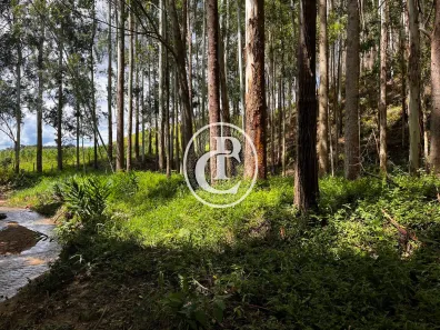Lote/Terreno à venda, 8470m² no , São Luiz do Paraitinga