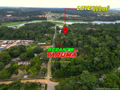 Lote/Terreno à venda, 800m² no Colônia Terra Nova, Manaus