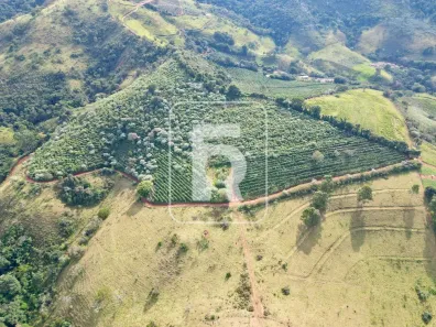 Fazenda/Sítio com 3 Quartos à venda, 2160000m² no Área Rural de Conselheiro Lafaiete, Conselheiro Lafaiete