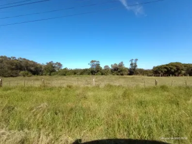 Fazenda/Sítio à venda, 100000m² no Lami, Porto Alegre