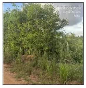 Lote/Terreno à venda, 1782m² no , Lagoa do Carro