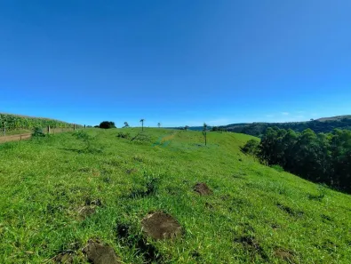 Fazenda/Sítio à venda, 150m² no , Guaraniaçu