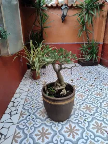 Casa com 2 Quartos para alugar, 65m² no Jardim Novo Mundo, Goiânia
