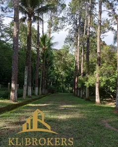 Fazenda/Sítio com 5 Quartos à venda, 480m² no Vargem Alegre, Barra do Piraí