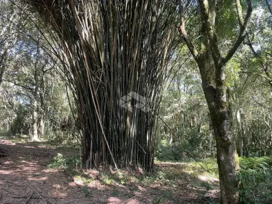 Fazenda/Sítio à venda, 65860m² no , Carlos Barbosa