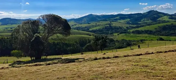 Lote/Terreno à venda, 1000m² no , Paraisópolis