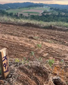 Lote/Terreno à venda, 500m² no Brotas(Caucaia do Alto), Cotia