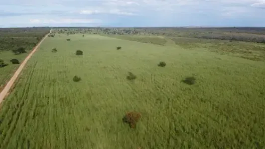Fazenda/Sítio à venda, 423000000m² no Centro, Luís Eduardo Magalhães