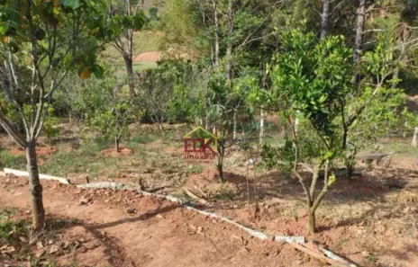 Fazenda/Sítio com 2 Quartos à venda, 764m² no Jardim Colônia, Jacareí