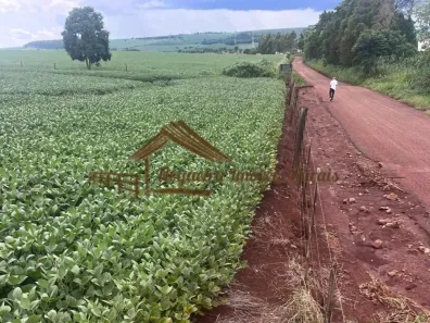 Fazenda/Sítio à venda, 205700m² no Área Rural de Avaré, Avaré