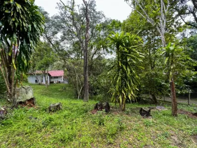 Fazenda/Sítio com 2 Quartos à venda, 11106m² no Jardim Torrão de Ouro, São José dos Campos