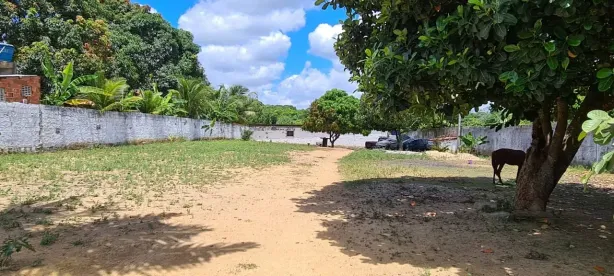Fazenda/Sítio com 1 Quarto à venda, 3000m² no Guabiraba, Recife